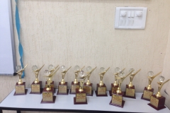 Trophies for CA CPT achiever December 2015